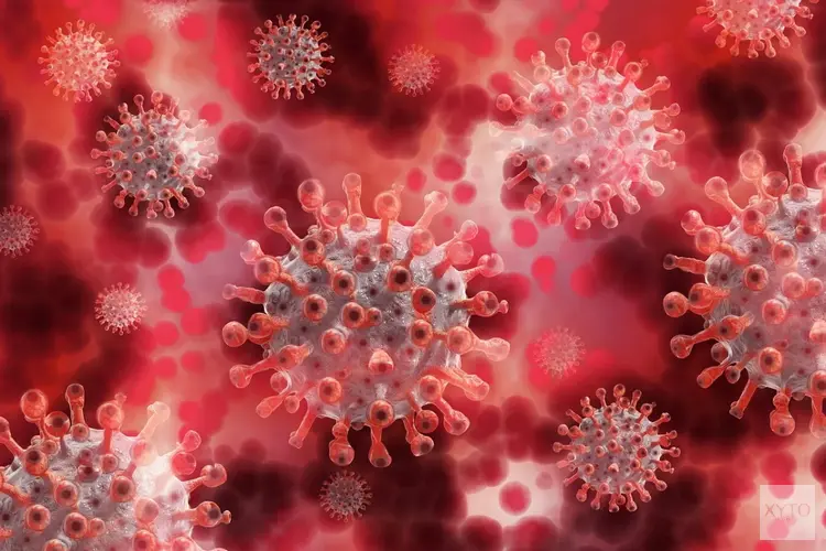 Laatste nieuws over maatregelen ivm het coronavirus