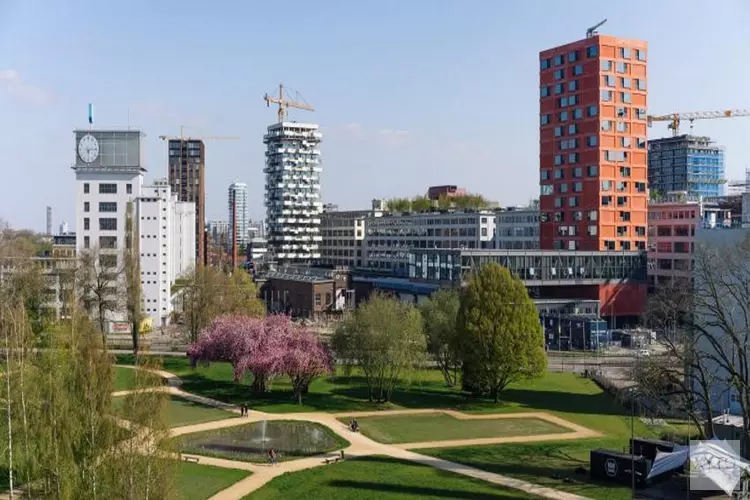 Stem voor publieksprijs Dirk Roosenburgprijs 2021