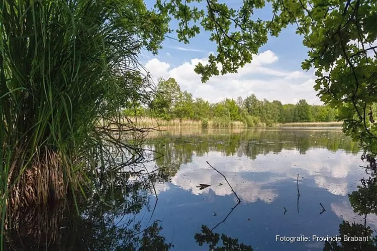 Analyses bevestigen slechte staat natuur Brabant